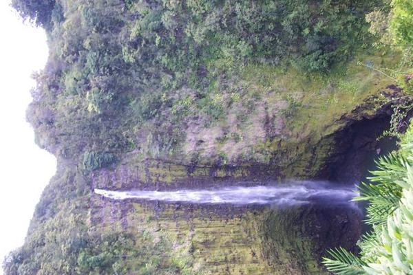 Akaka Falls - 420 ft sheer drop