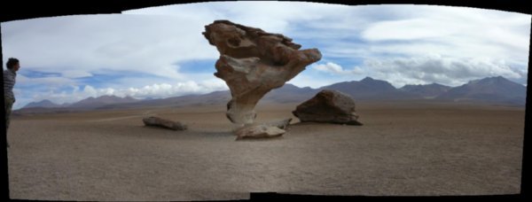 Panorama: Arbol de piedra