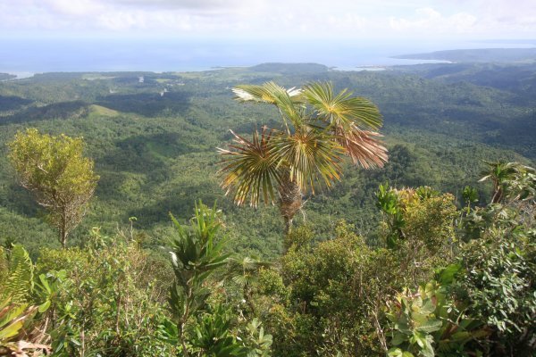 Pohled z El Yunque