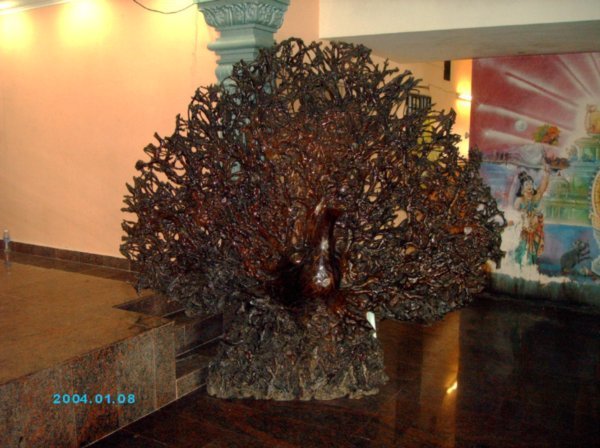 KL_batu_cave_peacock