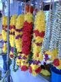 adornment_for_indian_festivity