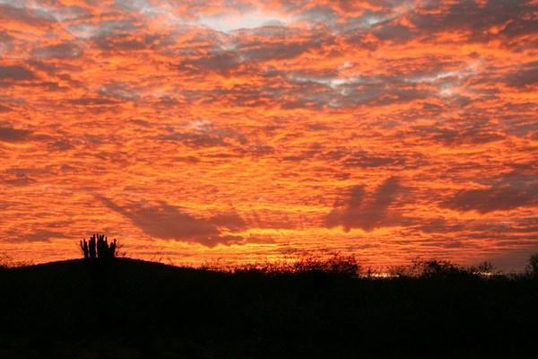 Sunrise in Serengeti/Mara