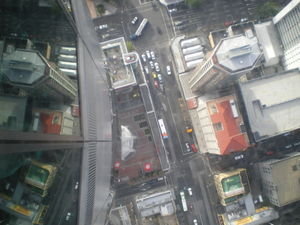 Standing on Auckland tower