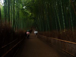 bamboo path, arashiyama 