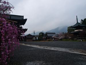 Seiryoji Temple (Saga Shaka-do)