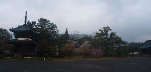 Seiryoji Temple (Saga Shaka-do)