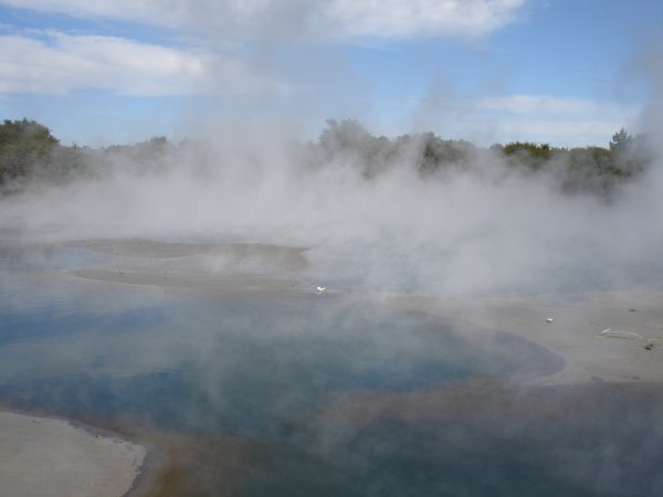 Thermal pools. Rotarua