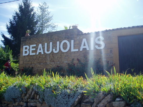 Beaujolais Wine Region
