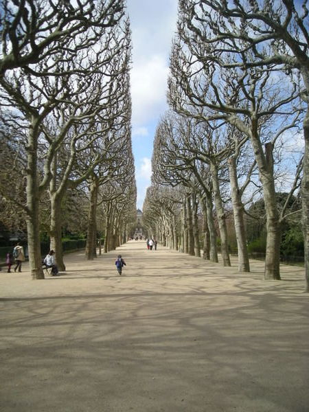 Walkway in Paris