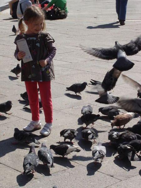 Little girl feeding the pidgeons