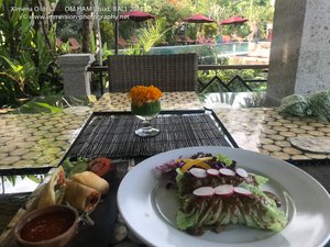 Spring Rolls and Vegetable rolls -Om Ham Retreat, Ubud - BALI-By Ximena Olds