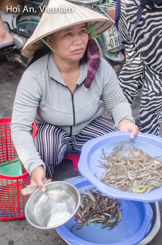 Hoi An, Vietnam - Market By Ximena Olds