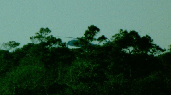 Helicopter rising from the trees