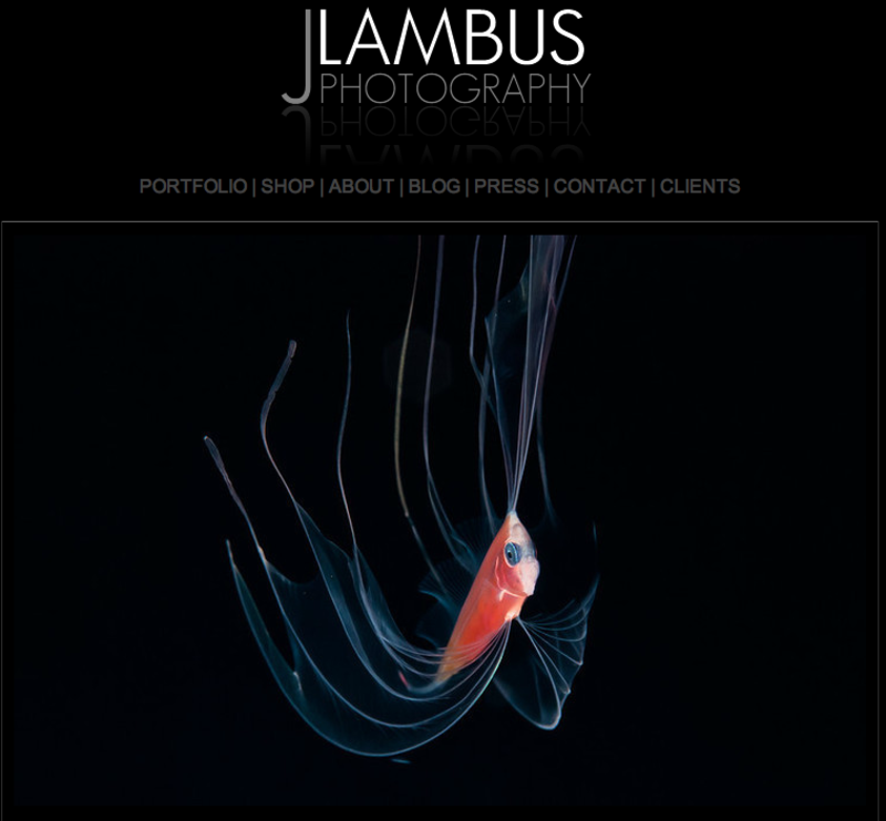 J Lambus Photography
