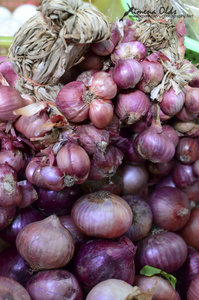 Red onion and shallots