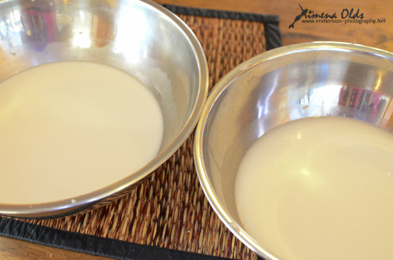 Fresh squeezed coconut cream and milk
