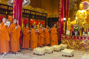  Young Monks Praying