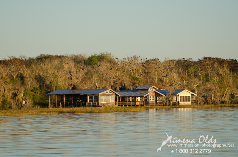 Cabins in the wetlands