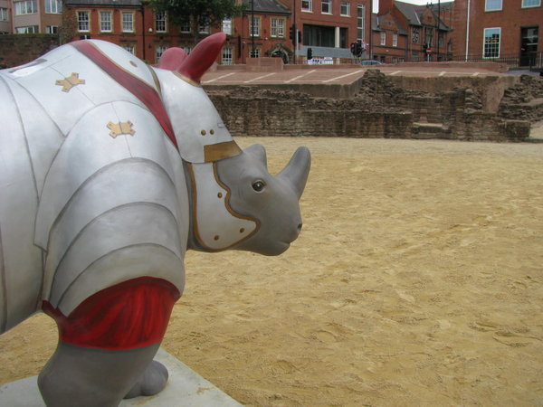 Rhino in the Roman amphitheatre