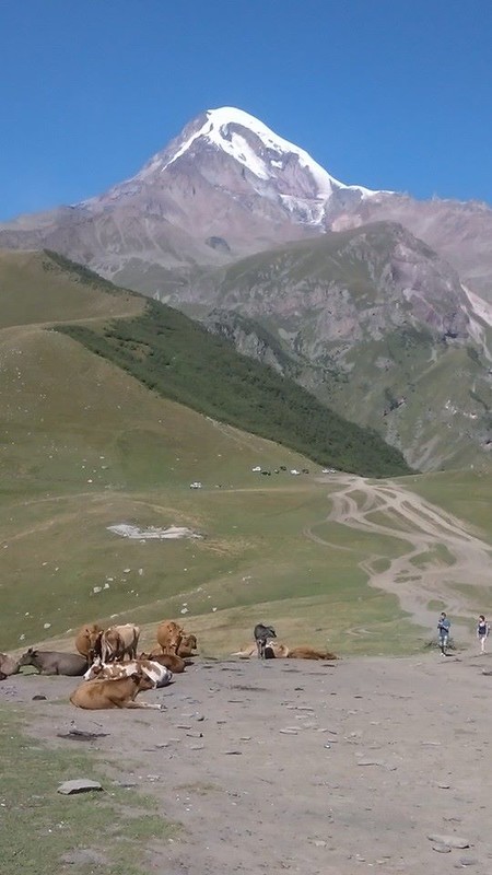Mt Kazbek in the background