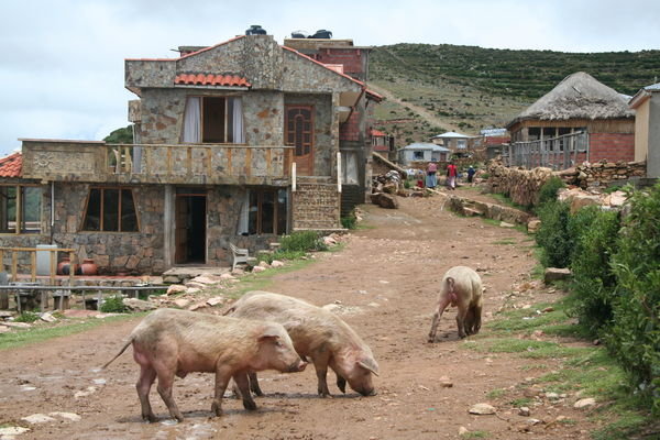 Rural Life on the Isla del Sol