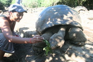 Sheena Feeding the Tortoises