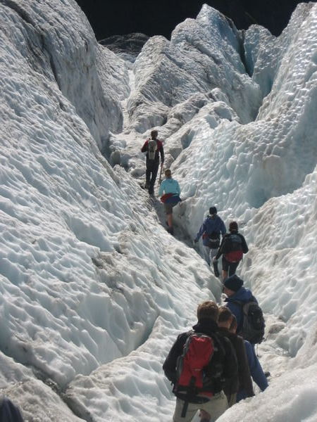Trekking the Franz Joseph Glacier