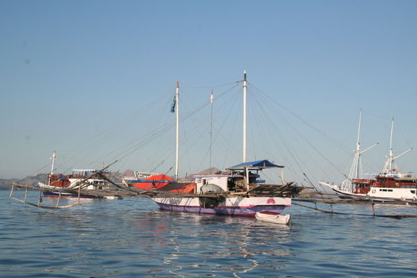 Fishing Boat in Labuanbajo