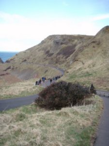 Path to the Giant's Causeway