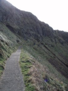 The path back to the top of the Giant's Causeway