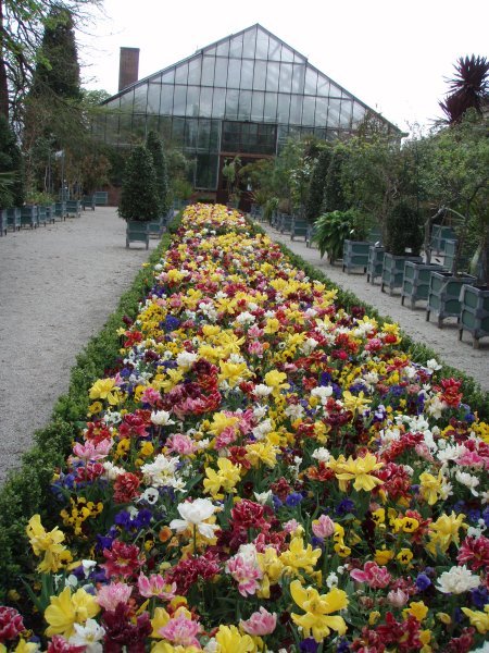 Flowerbeds and greenhouses at the Lieden Botanical Gardens