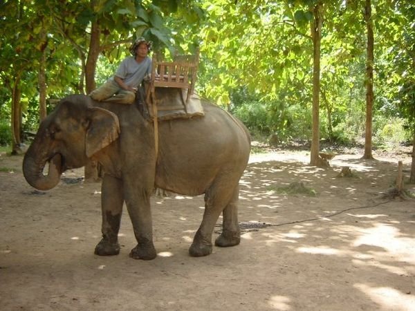 elephant and mahoot
