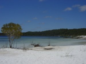 Beautiful Lake Birabeen on Fraser island