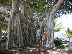 Theresa and I behind some funky trees on Magnetic island