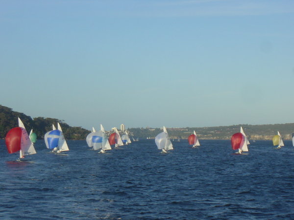 boats sailing on Sydney Harbour