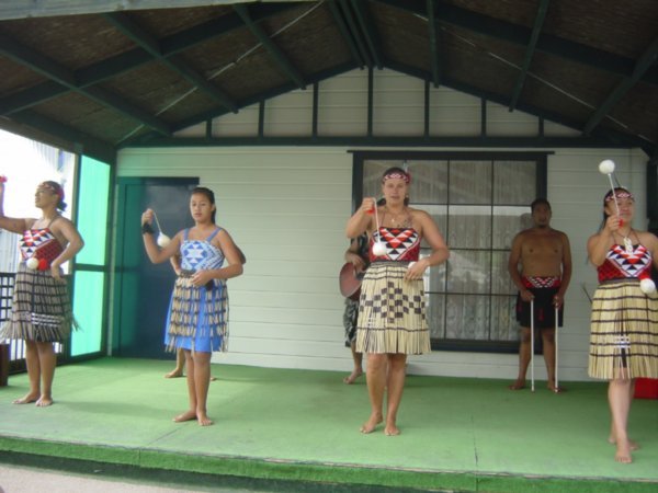 cultural performance at Whaka in Rotorua