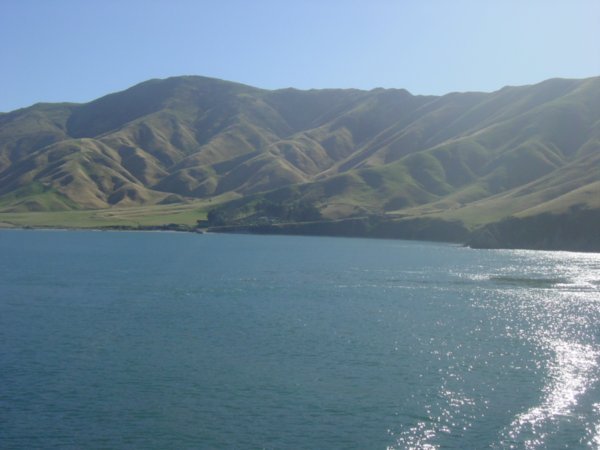 arriving at the South island..