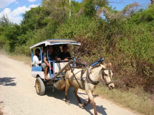Donkey Cart on Gili Air