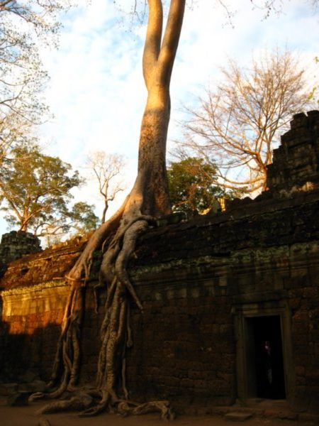 At the Angkor Wat