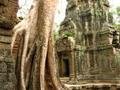 At the Angkor Wat