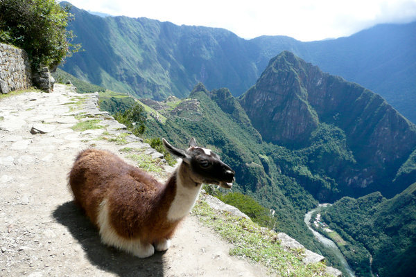 Caretaker of Machu Picchu