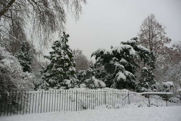 Hyde Park in the snow