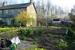 House and veggie patch