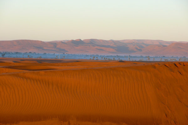 The dunes at dawn