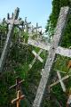 The Hill of Crosses