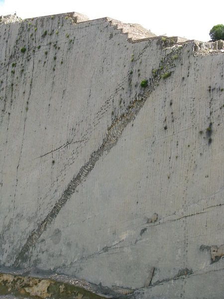 Dinosaur Tracks in Sucre