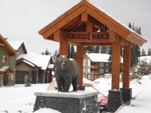 Grizzly Ridge