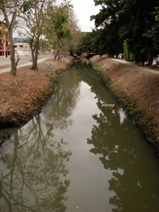 El canal