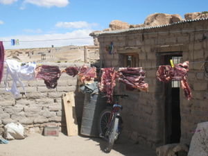 Drying meat and bras