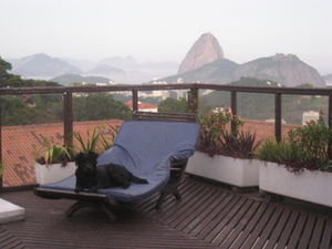 Beautiful Belinha (oh and Rio)
